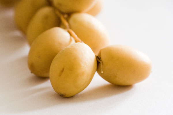 A taste of the Middle East