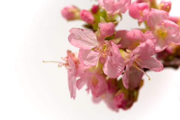 A need for bright colors