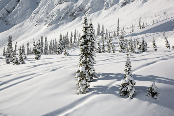 Fairytale and whipped cream