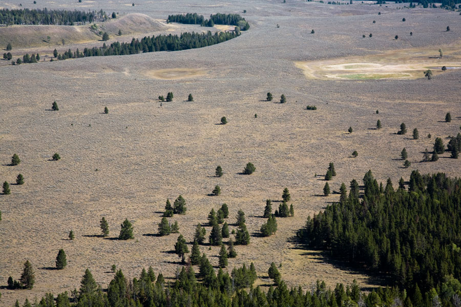 Grand Teton National Park - Flat