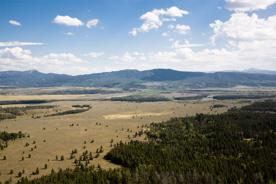 Grand Teton National Park - Flat II