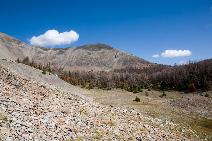 Yellowstone National Park - Climbing to the top