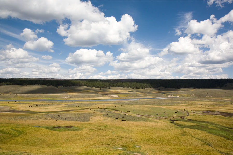 Yellowstone National Park - Flat