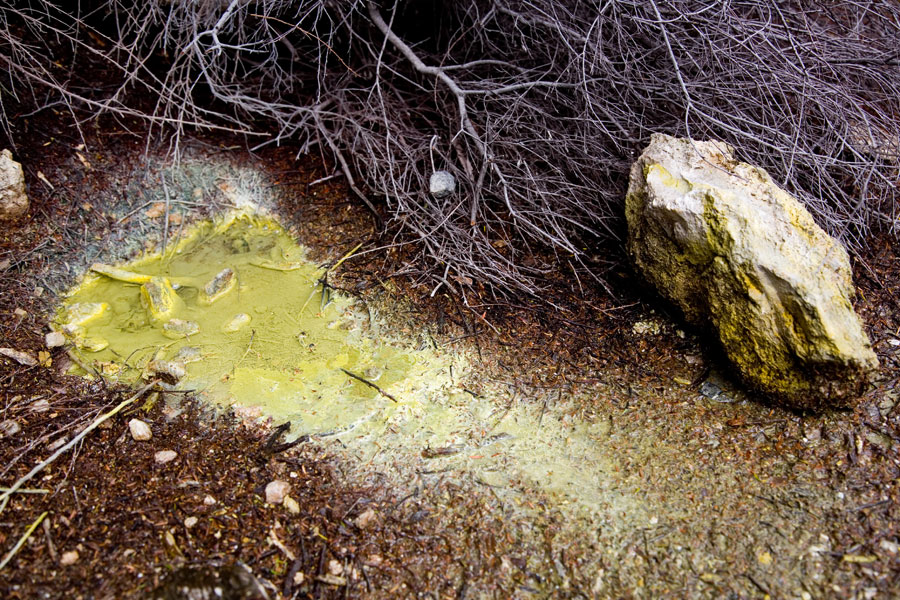 Wai-O-Tapu, geothermal activity