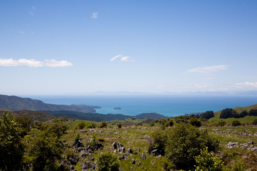 Abel Tasman