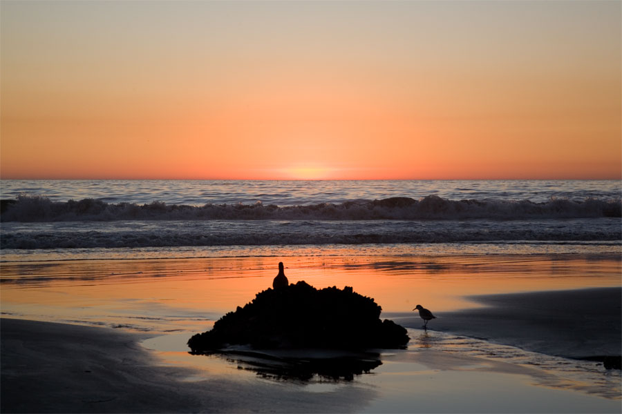 Sunset at Venice beach