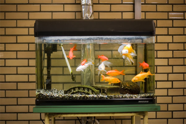 January 2006 Aquarium at a train station