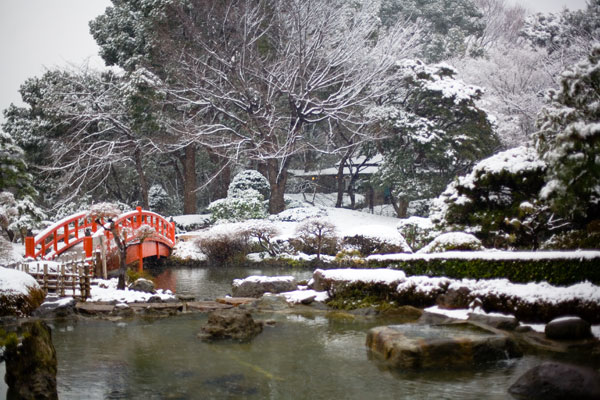 January 2006 Red bridge in the snow