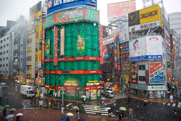 January 2006 Snow in Tokyo