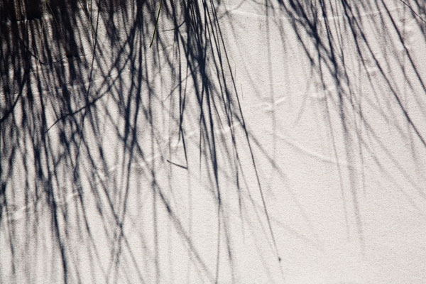 Traces in the sand