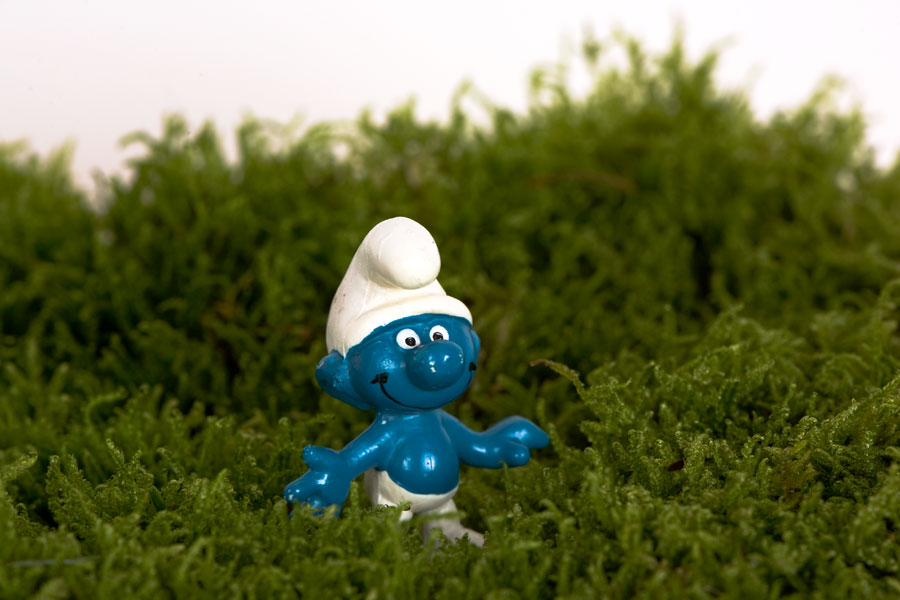 In the woods part II