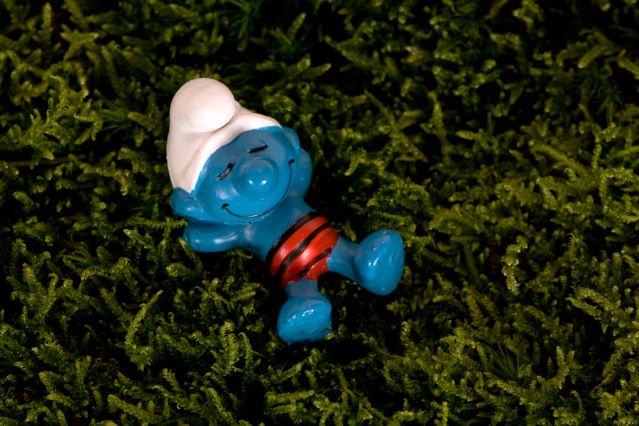 In the woods part IV