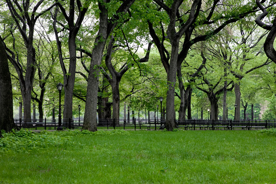 Central Park