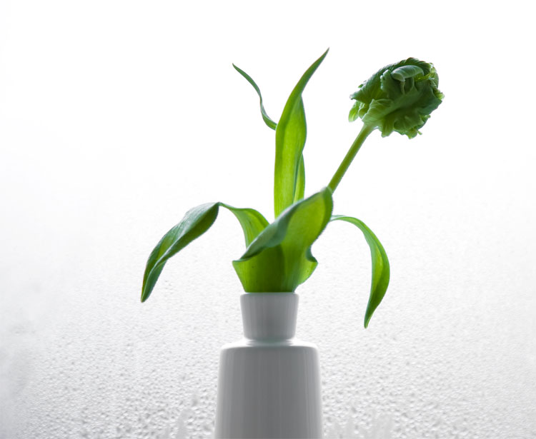 Looking out - Happy New Year