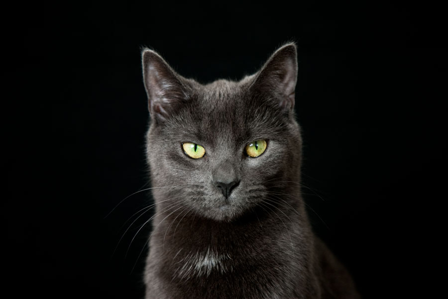 The strong silent type