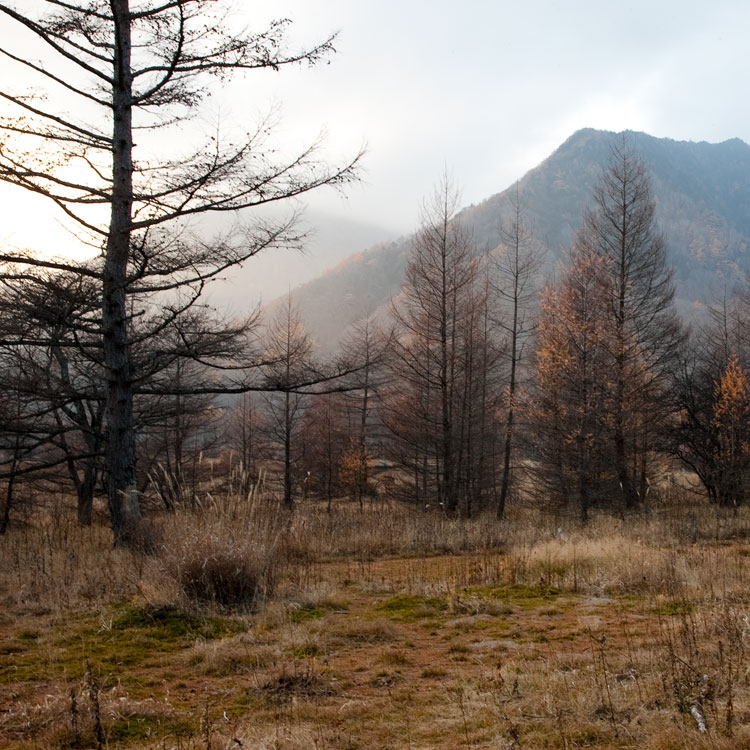 Nikko, Japan - Odashirogahara Plateau