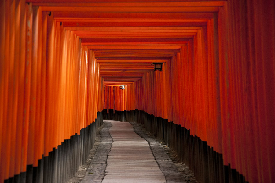 Torii at Fushimi-Inari Taisha