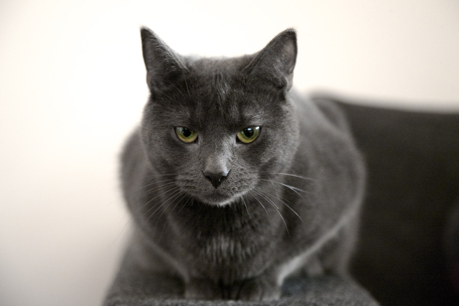 More intensity - Minimis