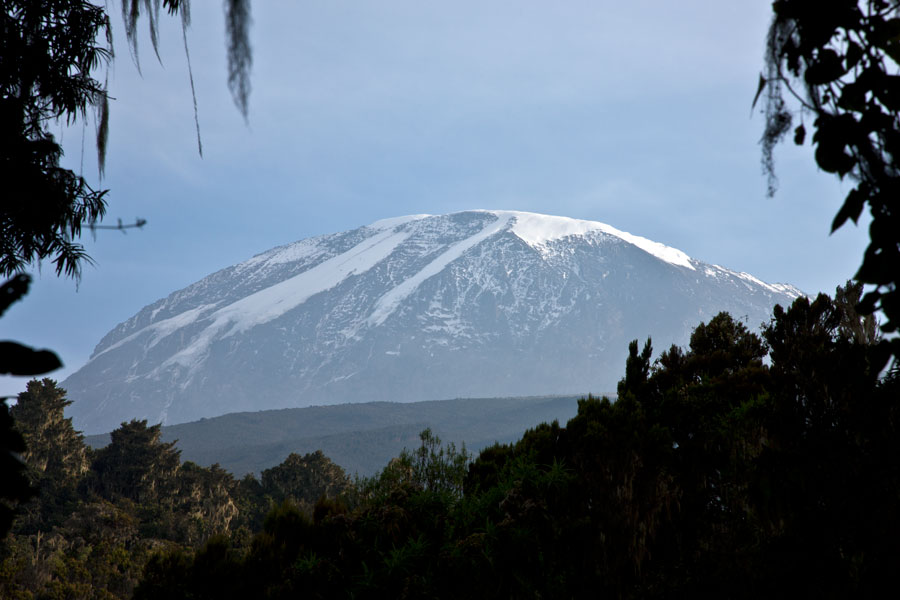 A peek at the top - from below