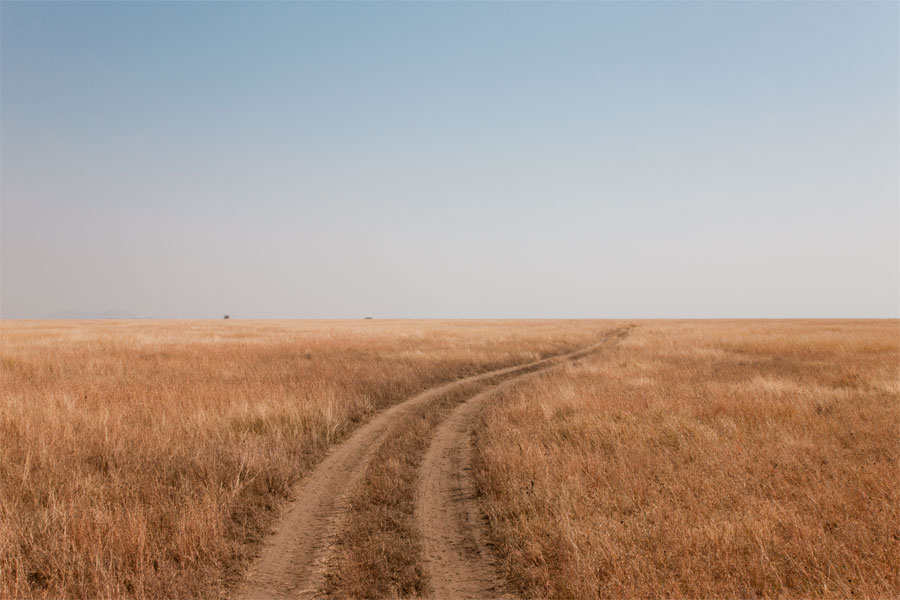 Serengeti road