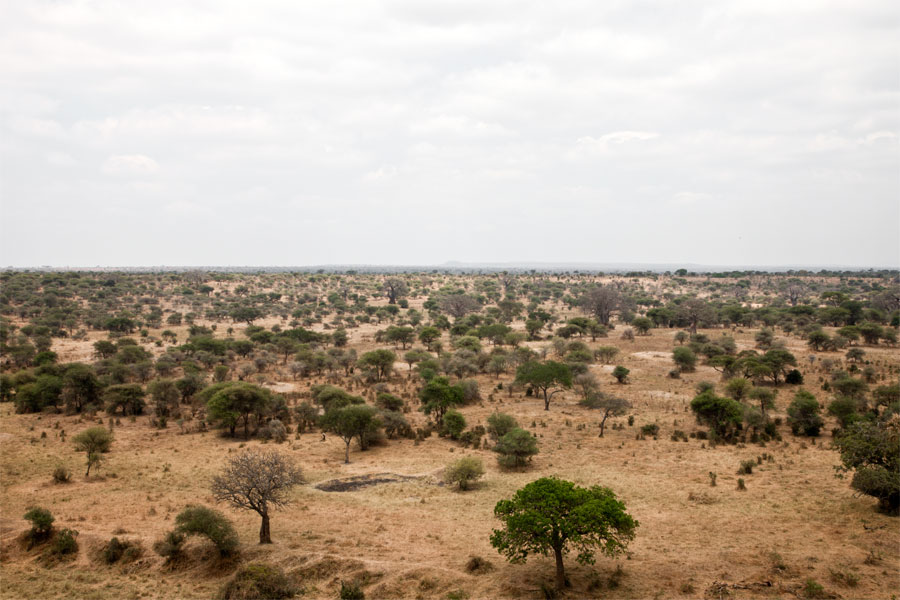 Tarangire National Park