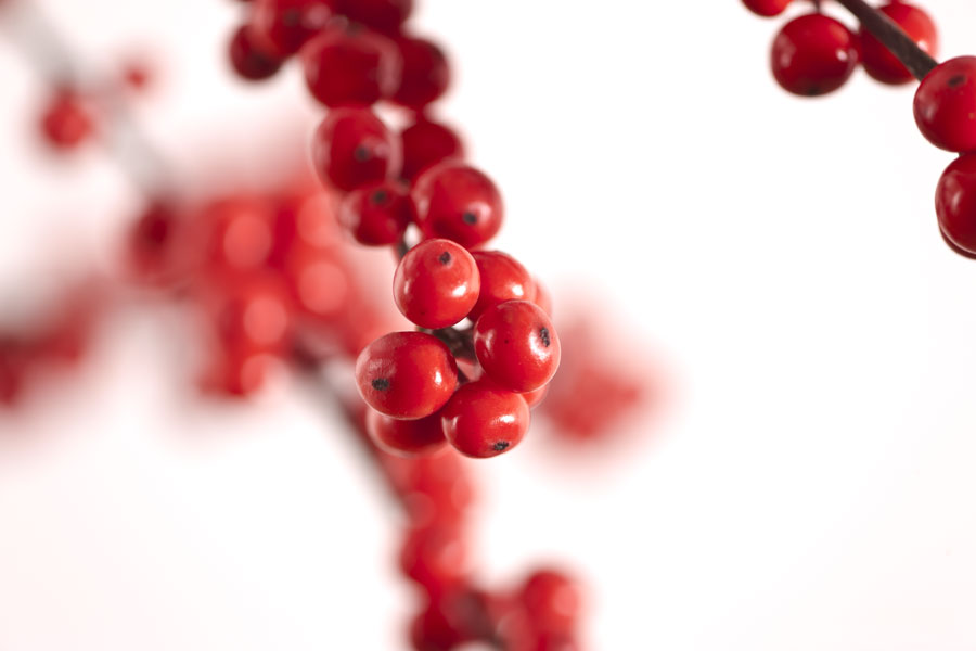 Christmas berries