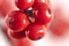 Christmas berries