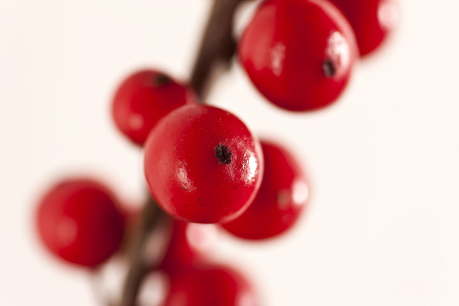 Christmas berries II