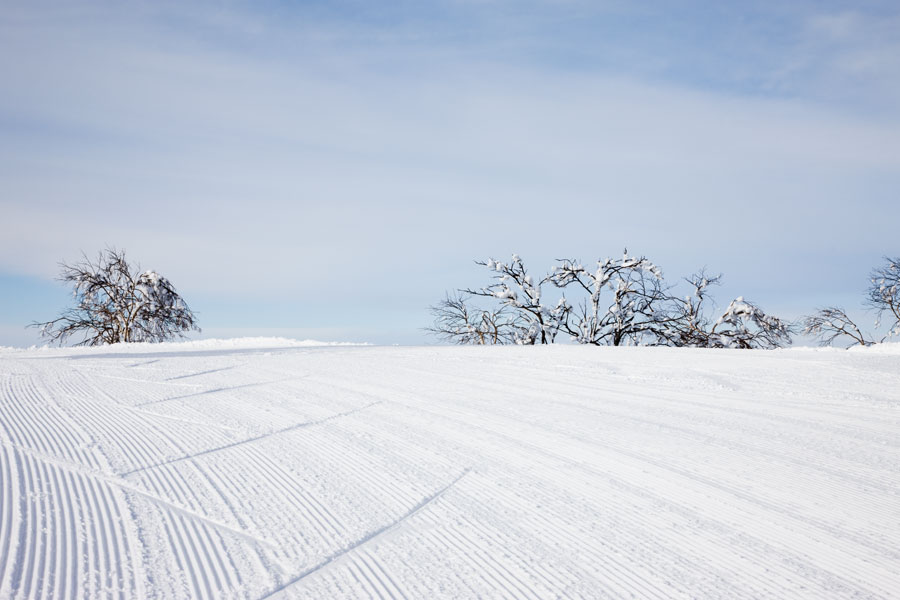 Japan - Rusutsu - Snowy snow