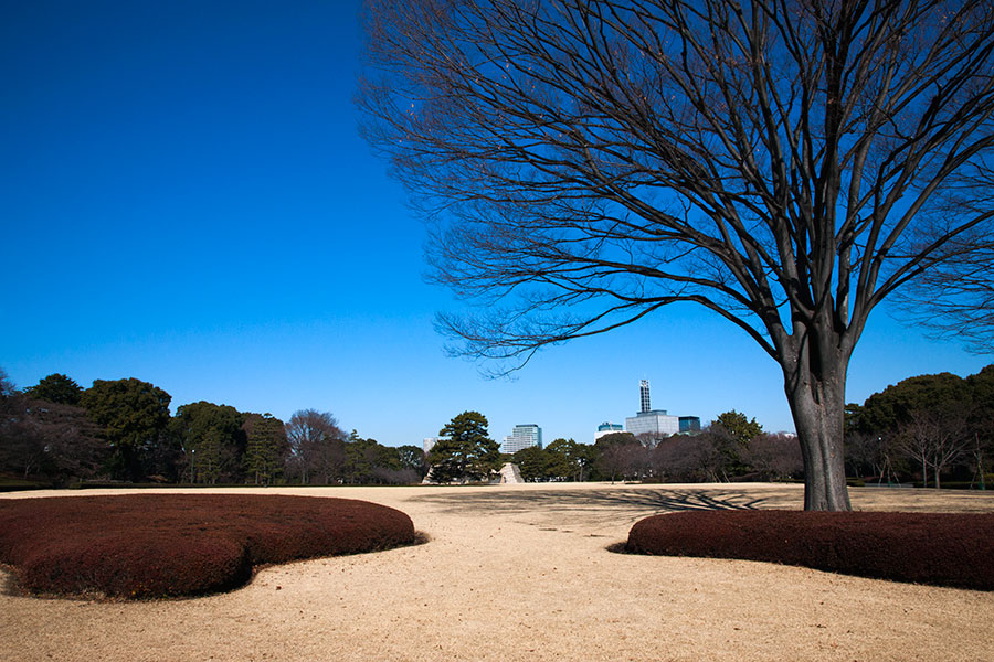 Japan - Tokyo - clear blue sky