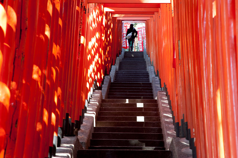 Japan - Tokyo - Torii