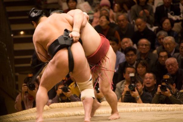 Sumo wrestling